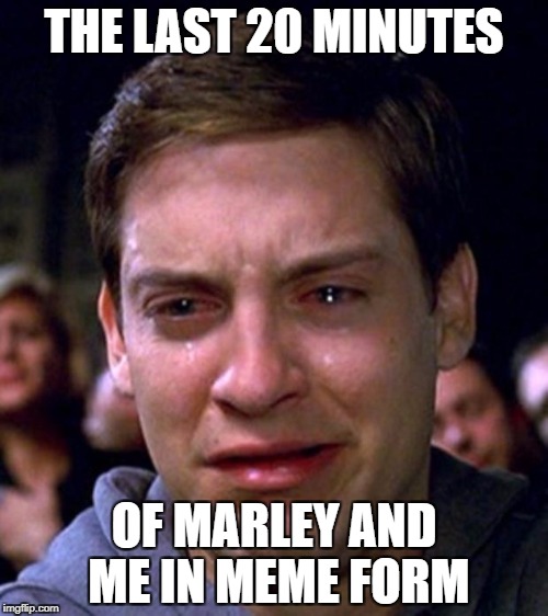 crying peter parker | THE LAST 20 MINUTES; OF MARLEY AND ME IN MEME FORM | image tagged in crying peter parker | made w/ Imgflip meme maker