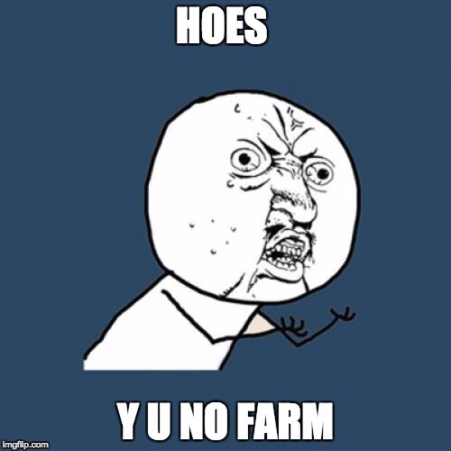 Y U No Meme | HOES; Y U NO FARM | image tagged in memes,y u no | made w/ Imgflip meme maker