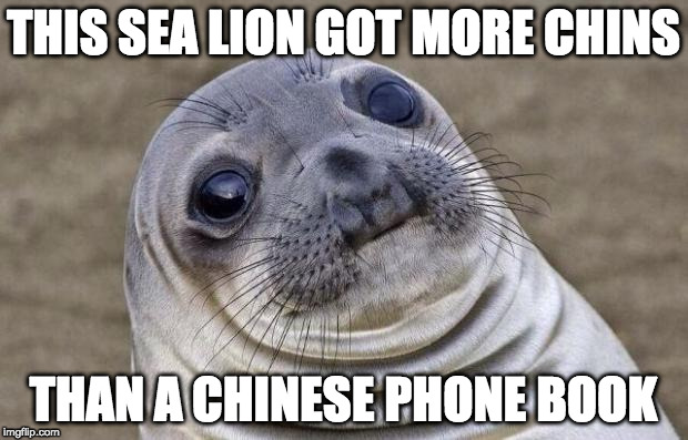 Awkward Moment Sealion | THIS SEA LION GOT MORE CHINS; THAN A CHINESE PHONE BOOK | image tagged in memes,awkward moment sealion | made w/ Imgflip meme maker