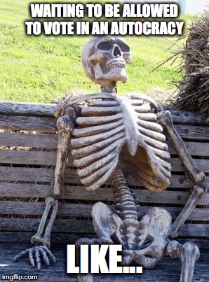 Waiting Skeleton Meme | WAITING TO BE ALLOWED TO VOTE IN AN AUTOCRACY; LIKE... | image tagged in memes,waiting skeleton | made w/ Imgflip meme maker