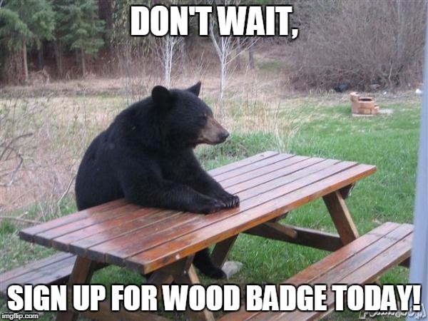 Bear Waiting | DON'T WAIT, SIGN UP FOR WOOD BADGE TODAY! | image tagged in bear waiting | made w/ Imgflip meme maker