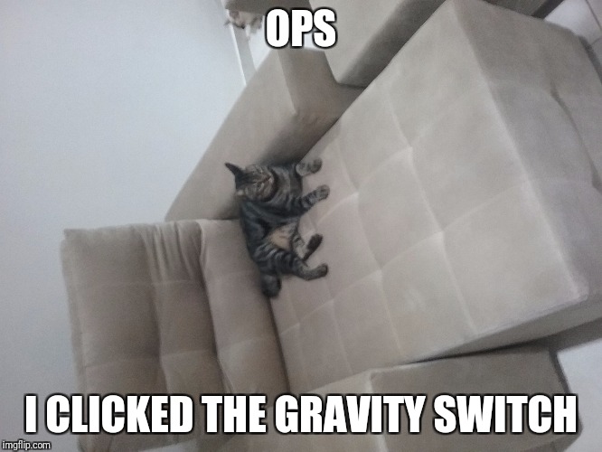Not again Pumpkin....   | OPS; I CLICKED THE GRAVITY SWITCH | image tagged in pumpkin,cat,-_- | made w/ Imgflip meme maker