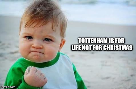 Fist pump baby | TOTTENHAM IS FOR LIFE NOT FOR CHRISTMAS | image tagged in fist pump baby | made w/ Imgflip meme maker