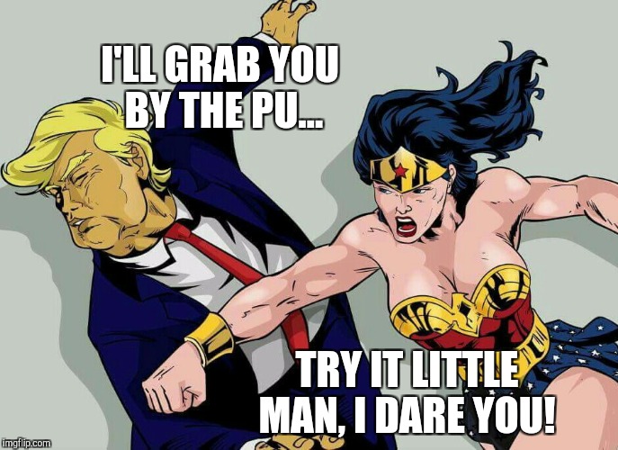 Wonder Woman isn't impressed with Donny and his frisky little hands. Superhero Week, - A Pipe_Picasso and Madolite event!  | I'LL GRAB YOU BY THE PU... TRY IT LITTLE MAN, I DARE YOU! | image tagged in trump,jbmemegeek,superhero week,wonder woman,superheroes | made w/ Imgflip meme maker