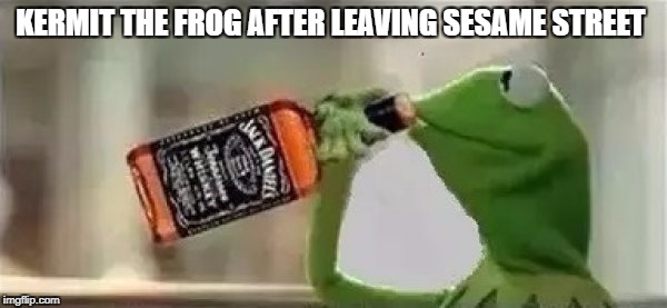 Kermit The Frog Drinking Vodka | KERMIT THE FROG AFTER LEAVING SESAME STREET | image tagged in kermit the frog drinking vodka | made w/ Imgflip meme maker