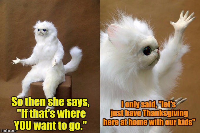 Persian Cat Room Guardian | I only said, "let's just have Thanksgiving here at home with our kids"; So then she says, "If that's where YOU want to go." | image tagged in memes,persian cat room guardian | made w/ Imgflip meme maker