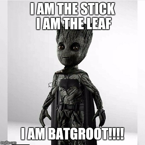 I am sick I am leaf I am batgroot  | I AM THE STICK I AM THE LEAF; I AM BATGROOT!!!! | image tagged in comic book | made w/ Imgflip meme maker
