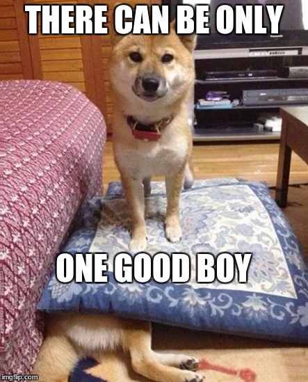 So savage. | THERE CAN BE ONLY; ONE GOOD BOY | image tagged in memes,funny,funny dogs | made w/ Imgflip meme maker