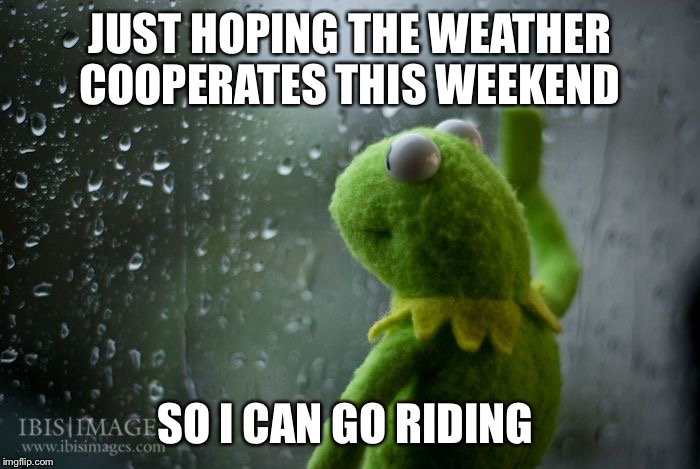 kermit window | JUST HOPING THE WEATHER COOPERATES THIS WEEKEND; SO I CAN GO RIDING | image tagged in kermit window | made w/ Imgflip meme maker