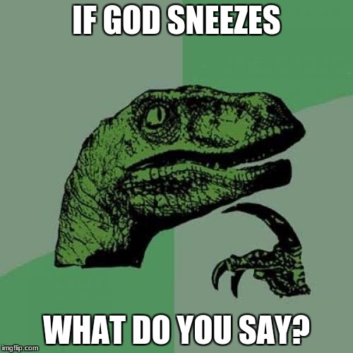 Philosoraptor Meme | IF GOD SNEEZES; WHAT DO YOU SAY? | image tagged in memes,philosoraptor | made w/ Imgflip meme maker