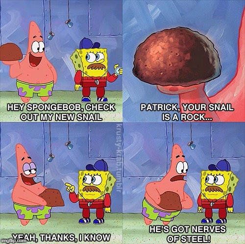 Your Snail Is A Rock... | image tagged in yoursnailisarock,spongebob meme,patrick | made w/ Imgflip meme maker