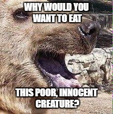 WHY WOULD YOU WANT TO EAT THIS POOR, INNOCENT CREATURE? | made w/ Imgflip meme maker