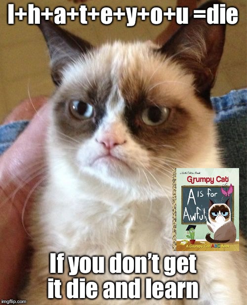 Grumpy Cat Meme | I+h+a+t+e+y+o+u
=die; If you don’t get it die and learn | image tagged in memes,grumpy cat | made w/ Imgflip meme maker