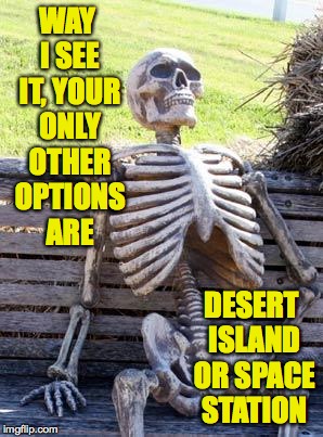 Waiting Skeleton Meme | WAY I SEE IT, YOUR ONLY OTHER OPTIONS ARE DESERT ISLAND OR SPACE STATION | image tagged in memes,waiting skeleton | made w/ Imgflip meme maker