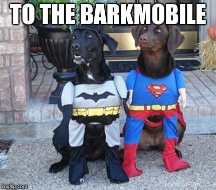 Superhero Dogs For Superhero Week | TO THE BARKMOBILE | image tagged in superhero dogs,barkmobile,superhero week,memes | made w/ Imgflip meme maker