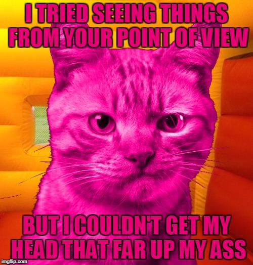 Dissatisfied RayCat | I TRIED SEEING THINGS FROM YOUR POINT OF VIEW; BUT I COULDN'T GET MY HEAD THAT FAR UP MY ASS | image tagged in dissat raycat,memes | made w/ Imgflip meme maker