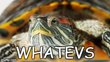 WHATEVS | image tagged in turtle bored | made w/ Imgflip meme maker