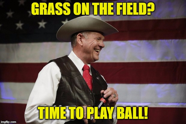 GRASS ON THE FIELD? TIME TO PLAY BALL! | image tagged in roymooresmurica | made w/ Imgflip meme maker