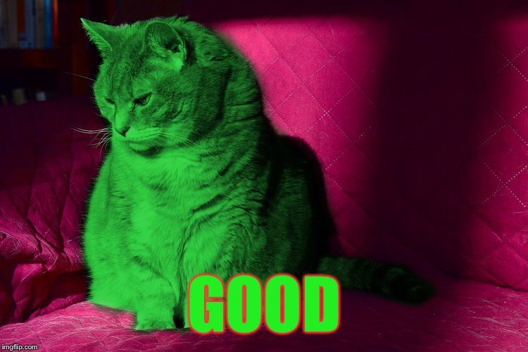 Cantankerous RayCat | GOOD | image tagged in cantankerous raycat | made w/ Imgflip meme maker