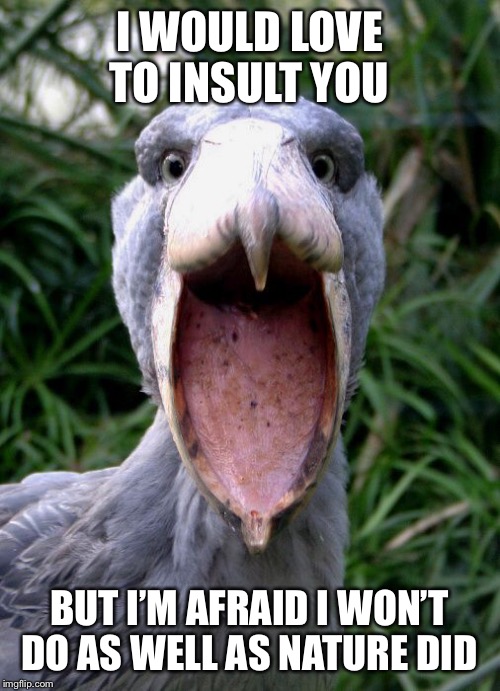 Shoebil birdie | I WOULD LOVE TO INSULT YOU; BUT I’M AFRAID I WON’T DO AS WELL AS NATURE DID | image tagged in shoebil birdie | made w/ Imgflip meme maker