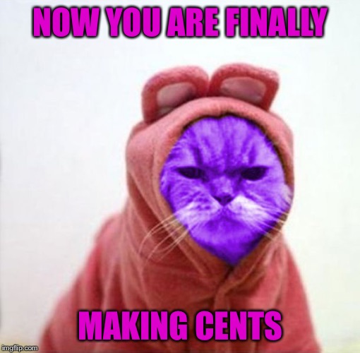 Sullen RayCat | NOW YOU ARE FINALLY MAKING CENTS | image tagged in sullen raycat | made w/ Imgflip meme maker