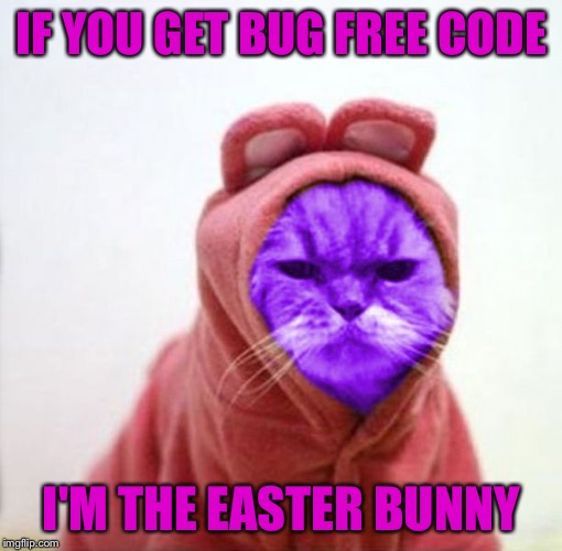 Sullen RayCat | IF YOU GET BUG FREE CODE I'M THE EASTER BUNNY | image tagged in sullen raycat | made w/ Imgflip meme maker