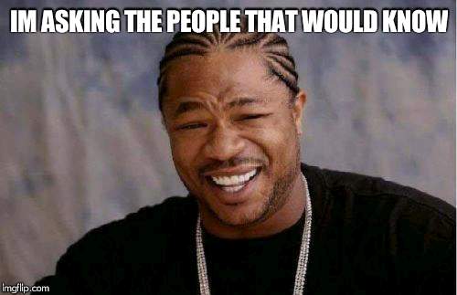 Yo Dawg Heard You Meme | IM ASKING THE PEOPLE THAT WOULD KNOW | image tagged in memes,yo dawg heard you | made w/ Imgflip meme maker