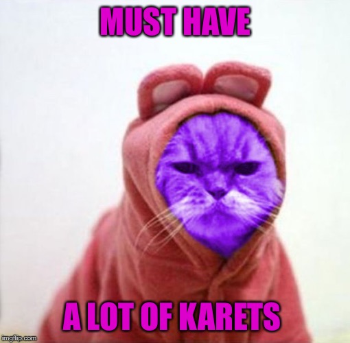 Sullen RayCat | MUST HAVE A LOT OF KARETS | image tagged in sullen raycat | made w/ Imgflip meme maker