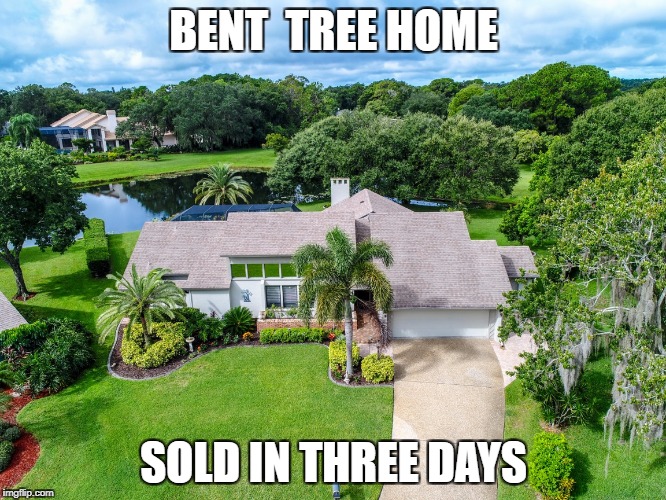 Bent Tree Home Sold in 3 days | BENT  TREE HOME; SOLD IN THREE DAYS | image tagged in realtorrodofsarasota,buyingasarasotahome,sellingasarasotahome | made w/ Imgflip meme maker