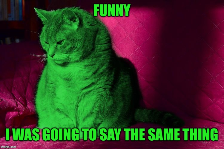 Cantankerous RayCat | FUNNY I WAS GOING TO SAY THE SAME THING | image tagged in cantankerous raycat | made w/ Imgflip meme maker