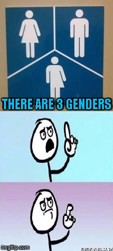 that can't be good... | THERE ARE 3 GENDERS | image tagged in pc warrior,transgender,bathroom,gender equality,gender confusion | made w/ Imgflip meme maker