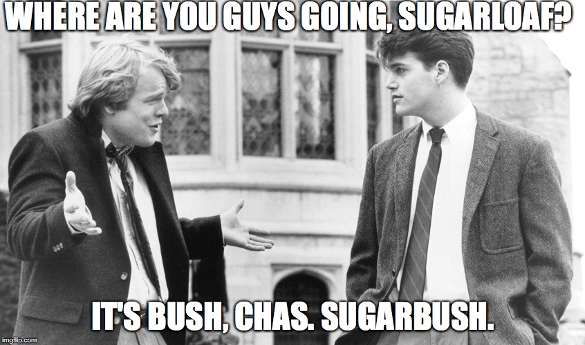 SugarBush | WHERE ARE YOU GUYS GOING, SUGARLOAF? IT'S BUSH, CHAS. SUGARBUSH. | image tagged in sugarbush | made w/ Imgflip meme maker