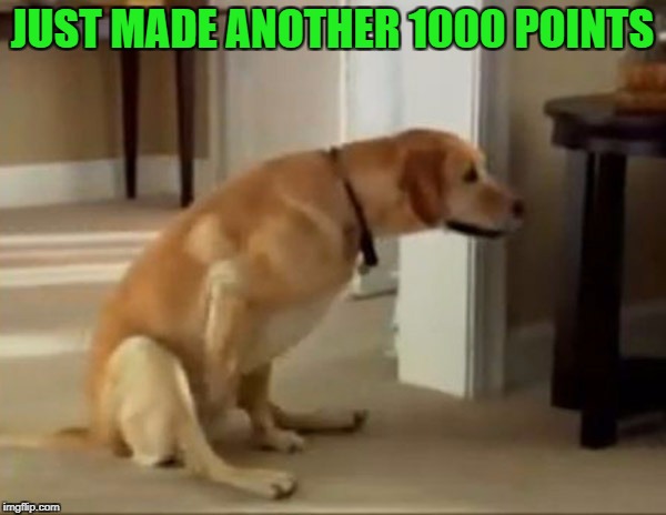 JUST MADE ANOTHER 1000 POINTS | made w/ Imgflip meme maker
