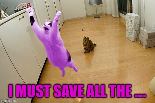 RayCat save the world | I MUST SAVE ALL THE .... | image tagged in raycat save the world | made w/ Imgflip meme maker