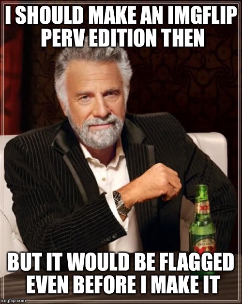 The Most Interesting Man In The World Meme | I SHOULD MAKE AN IMGFLIP PERV EDITION THEN BUT IT WOULD BE FLAGGED EVEN BEFORE I MAKE IT | image tagged in memes,the most interesting man in the world | made w/ Imgflip meme maker