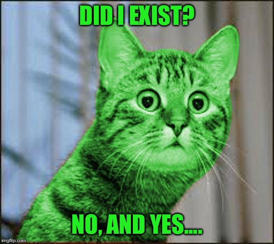 RayCat WTF | DID I EXIST? NO, AND YES.... | image tagged in raycat wtf | made w/ Imgflip meme maker