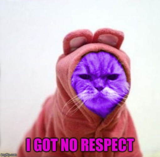 Sullen RayCat | I GOT NO RESPECT | image tagged in sullen raycat | made w/ Imgflip meme maker
