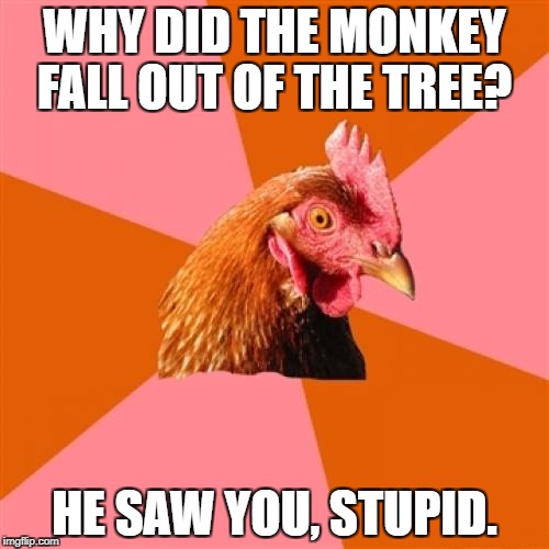 Anti Joke Chicken | WHY DID THE MONKEY FALL OUT OF THE TREE? HE SAW YOU, STUPID. | image tagged in memes,anti joke chicken | made w/ Imgflip meme maker