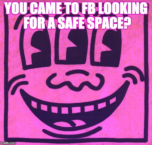 You came to the wrong place | YOU CAME TO FB LOOKING FOR A SAFE SPACE? | image tagged in safe space,facebook,snowflake,welcome to the internets | made w/ Imgflip meme maker