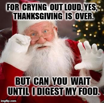 Hold up santa | FOR  CRYING  OUT LOUD, YES,  THANKSGIVING  IS  OVER. BUT  CAN  YOU  WAIT  UNTIL  I DIGEST MY FOOD. | image tagged in hold up santa | made w/ Imgflip meme maker