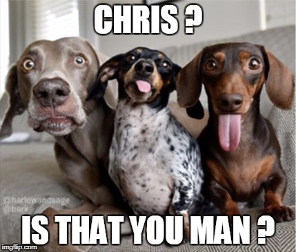 Three dogs | CHRIS ? IS THAT YOU MAN ? | image tagged in three dogs | made w/ Imgflip meme maker
