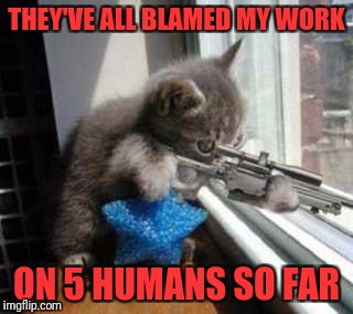 CatSniper | THEY'VE ALL BLAMED MY WORK; ON 5 HUMANS SO FAR | image tagged in catsniper | made w/ Imgflip meme maker
