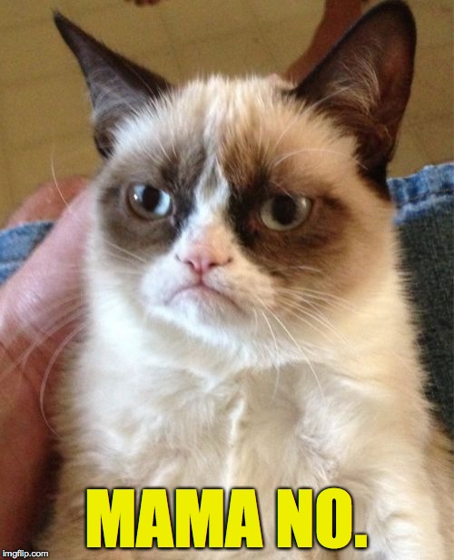 Grumpy Cat Meme | MAMA NO. | image tagged in memes,grumpy cat | made w/ Imgflip meme maker