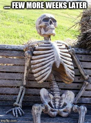 Waiting Skeleton Meme | .... FEW MORE WEEKS LATER | image tagged in memes,waiting skeleton | made w/ Imgflip meme maker