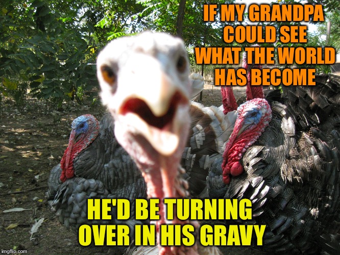 Turkeys | IF MY GRANDPA COULD SEE WHAT THE WORLD HAS BECOME; HE'D BE TURNING OVER IN HIS GRAVY | image tagged in turkeys | made w/ Imgflip meme maker