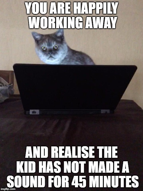 YOU ARE HAPPILY WORKING AWAY; AND REALISE THE KID HAS NOT MADE A SOUND FOR 45 MINUTES | image tagged in cat,laptop,working | made w/ Imgflip meme maker