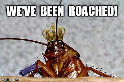 Cockroach King | WE'VE  BEEN  ROACHED! | image tagged in cockroach king | made w/ Imgflip meme maker
