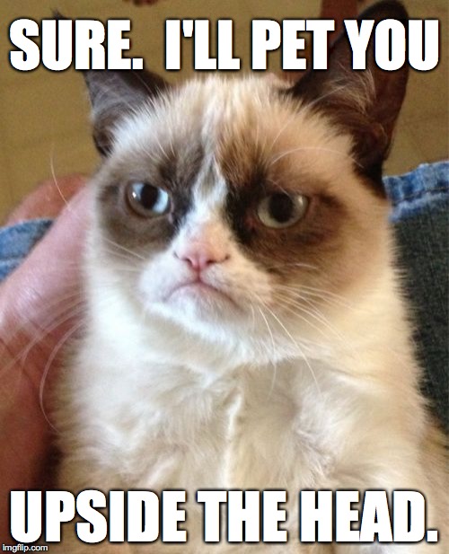 Grumpy Cat Meme | SURE.  I'LL PET YOU UPSIDE THE HEAD. | image tagged in memes,grumpy cat | made w/ Imgflip meme maker