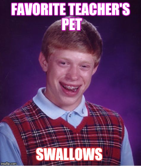 Bad Luck Brian Meme | FAVORITE TEACHER'S PET; SWALLOWS | image tagged in memes,bad luck brian | made w/ Imgflip meme maker