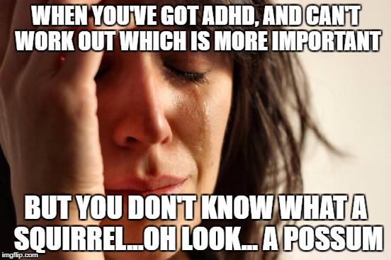 First World Problems Meme | WHEN YOU'VE GOT ADHD, AND CAN'T WORK OUT WHICH IS MORE IMPORTANT; BUT YOU DON'T KNOW WHAT A SQUIRREL...OH LOOK... A POSSUM | image tagged in memes,first world problems | made w/ Imgflip meme maker